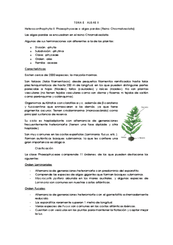 Miniatura del documento Tema-5.pdf