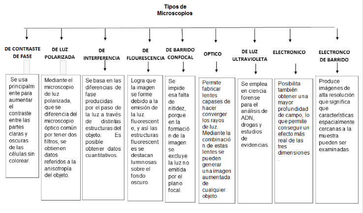 Miniatura del documento Mapa-Conceptual.png