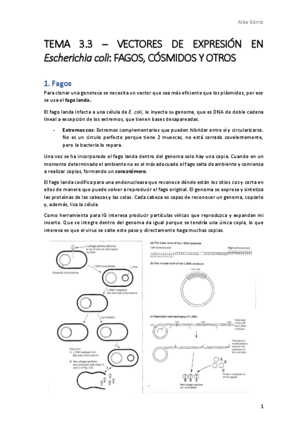 Miniatura del documento TEMA-3.pdf
