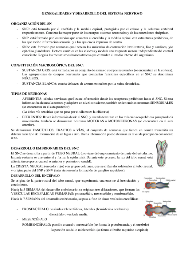 Miniatura del documento T1-ANATO-II.pdf