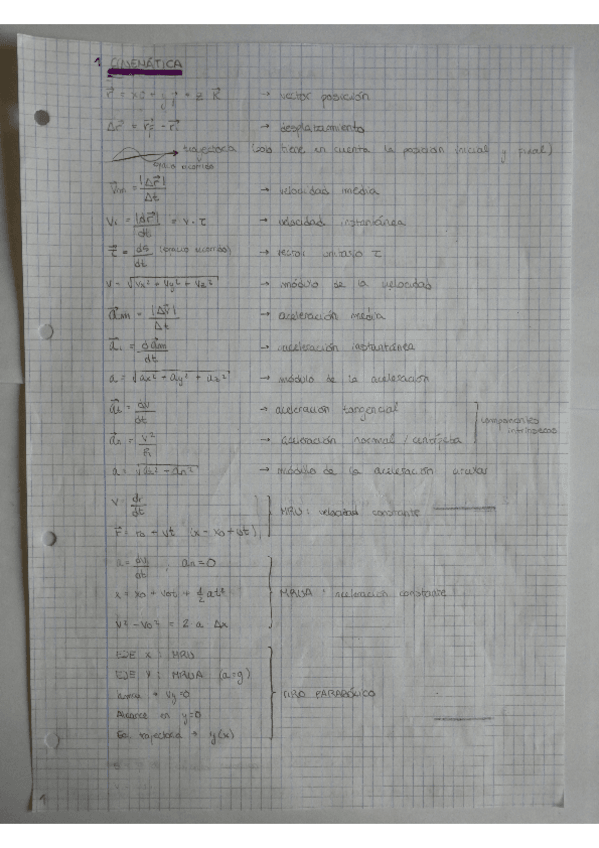 Miniatura del documento Resumen-asignatura-completa.pdf