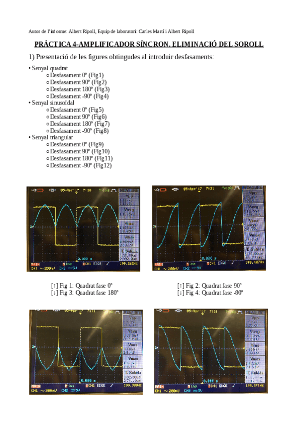 Miniatura del documento AlbertRipoll16668245P4.pdf
