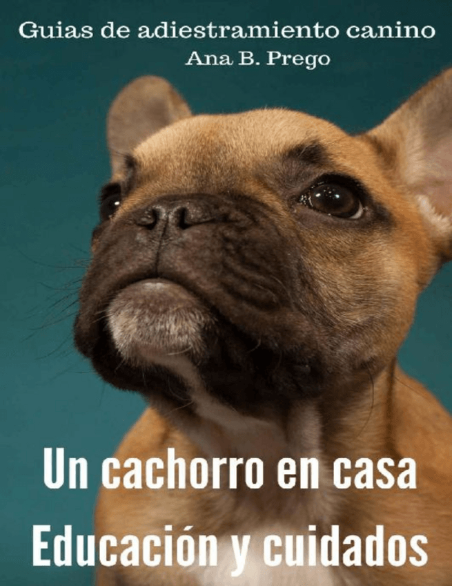 Miniatura del documento Un-Cachorro-En-Casa.pdf