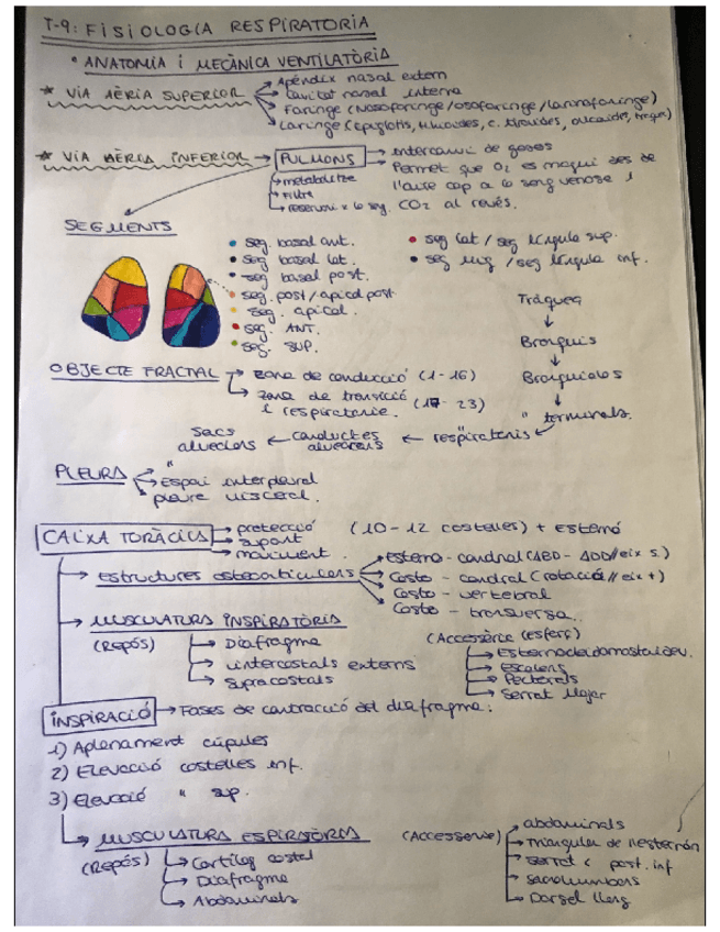 Miniatura del documento TEMA-9-FISIOLOGIA-RESPIRATORIA-.pdf