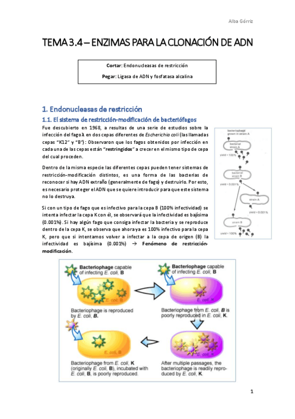 Miniatura del documento TEMA-3.pdf
