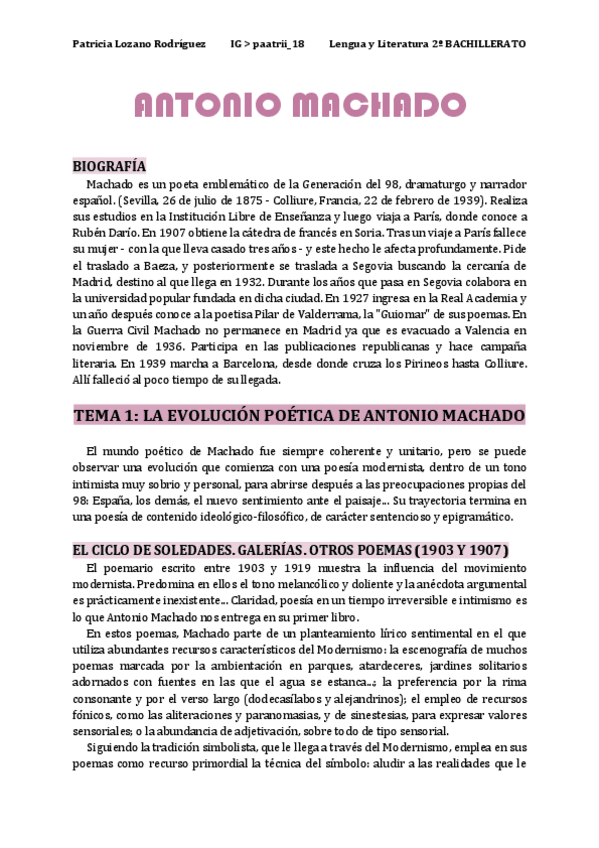 Miniatura del documento MACHADO.pdf