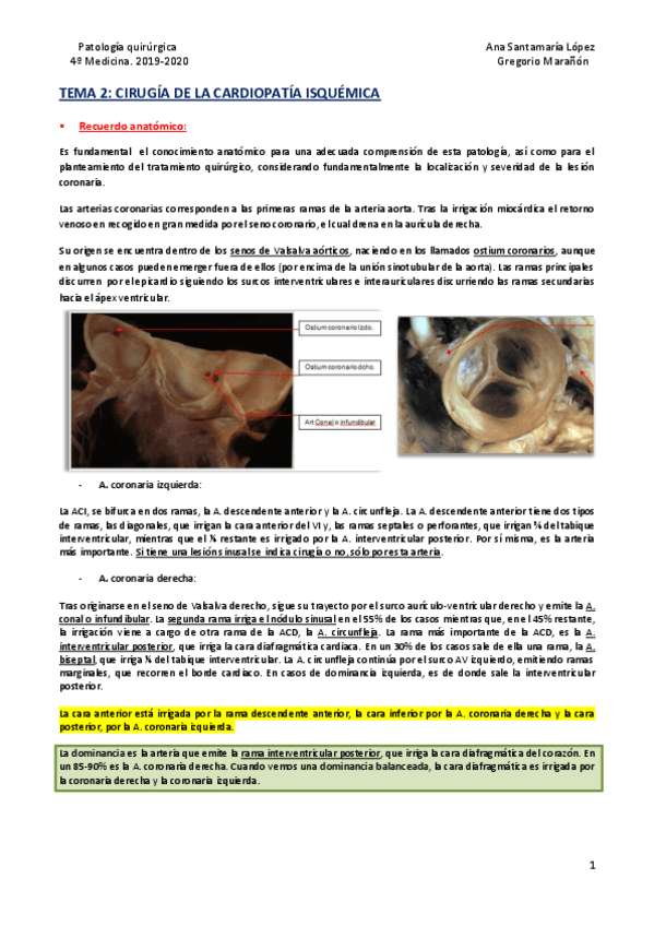 Miniatura del documento Tema-2-Cirugia-de-la-cardiopatia-isquemica.pdf