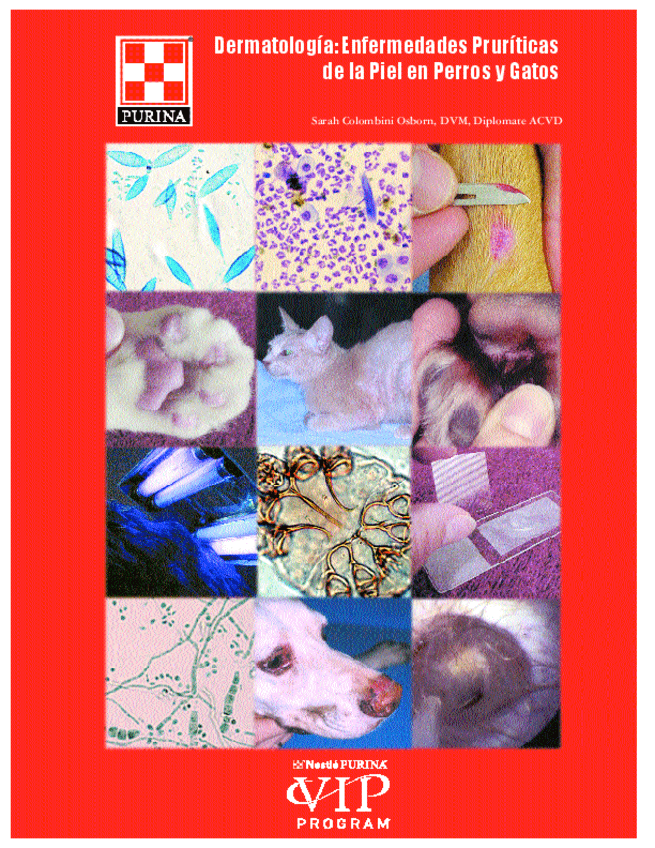 Miniatura del documento Enfermedades-Pruriticas-De-La-Piel-En-Perros-Y-Gatos.pdf