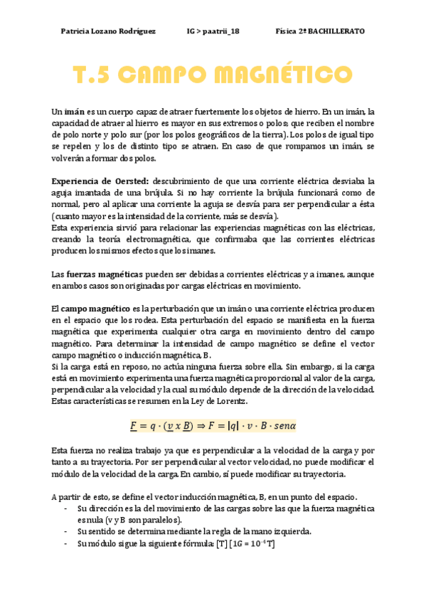 Miniatura del documento CAMPO-E-INDUCCION-MAGNETICA-Y-RELATIVIDAD.pdf