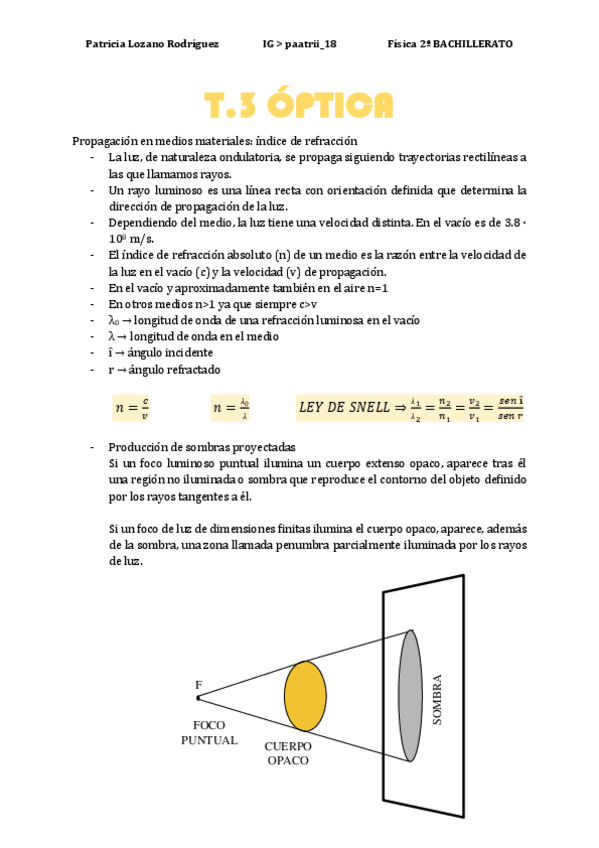 Miniatura del documento OPTICA-Y-CAMPO-ELECTRICO.pdf