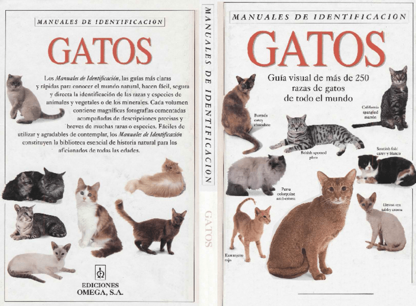 Miniatura del documento Manual-De-Identificacion-de-Gatos.pdf
