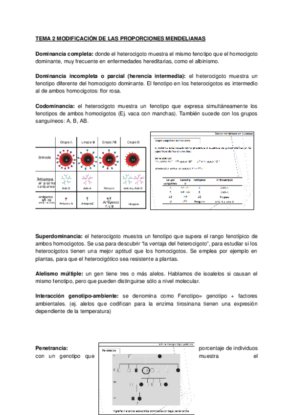 Miniatura del documento TEMA-2-MODIFICACION-DE-LAS-PROPORCIONES-MENDELIANAS.docx