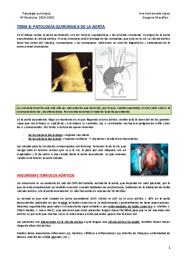 Miniatura del documento Tema-8-Patologia-quirurgica-de-la-aorta.pdf