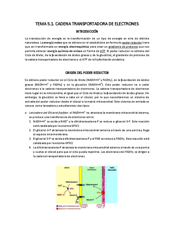 Miniatura del documento TEMA-5.pdf
