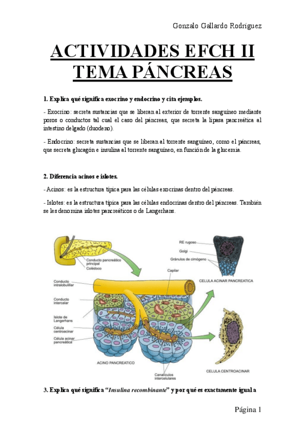 Miniatura del documento ACTIVIDADES-EFCH-II-TEMA-PANCREAS.pdf
