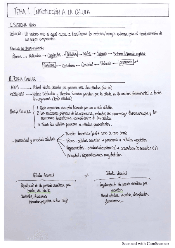Miniatura del documento BiologiaCelular-T12.pdf