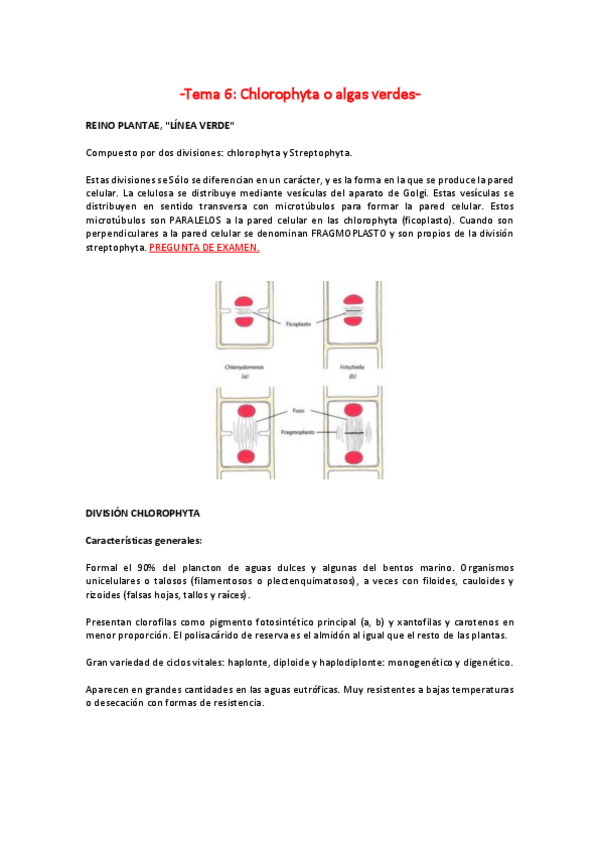 Miniatura del documento Tema-6.pdf