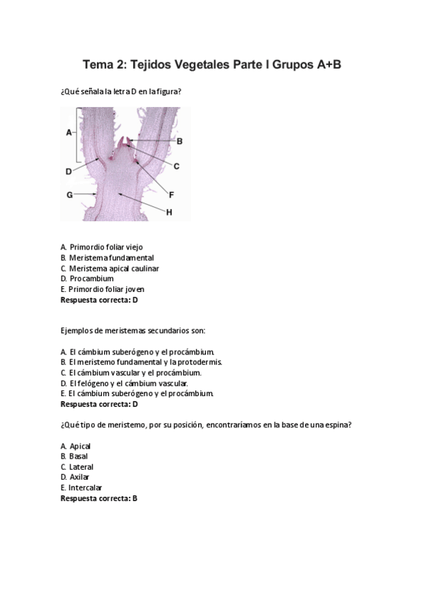 Miniatura del documento Tema-21.pdf