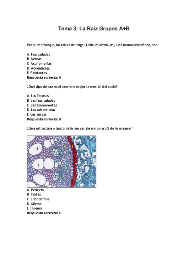 Miniatura del documento Tema-3.pdf
