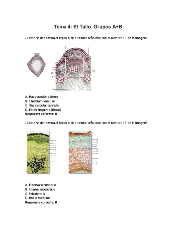 Miniatura del documento Tema-4.pdf