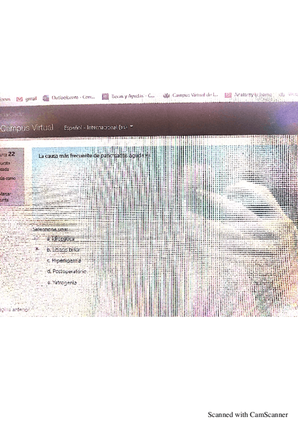 Miniatura del documento test-digestivo-general.pdf