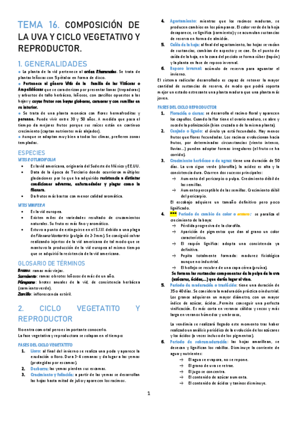 Miniatura del documento TEMA-16.pdf