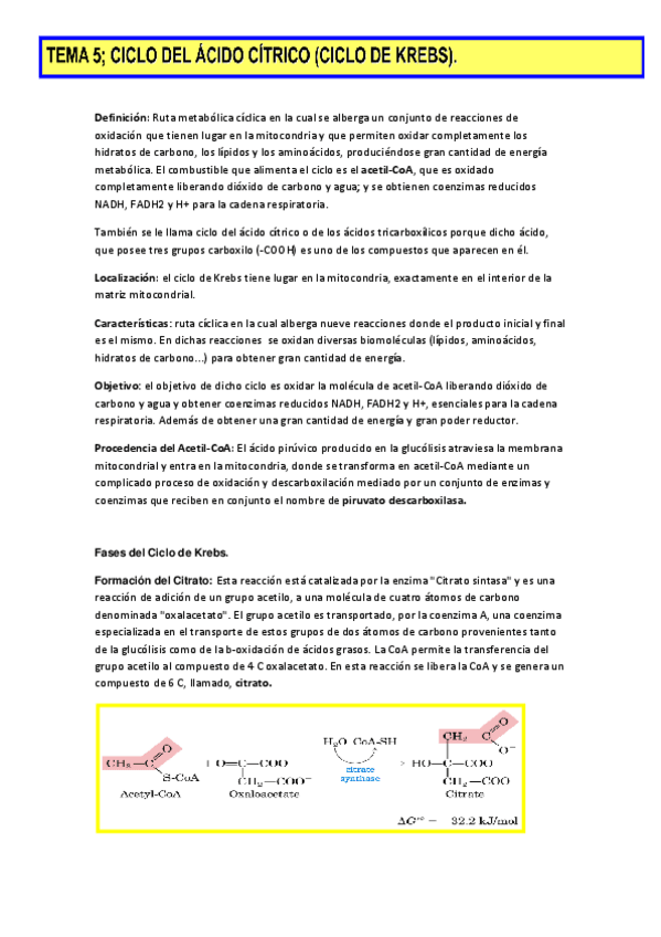 Miniatura del documento Tema-5.pdf