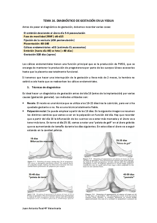 Miniatura del documento Tema-16.pdf