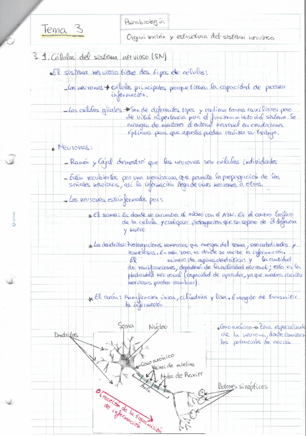 Miniatura del documento Tema-3.pdf