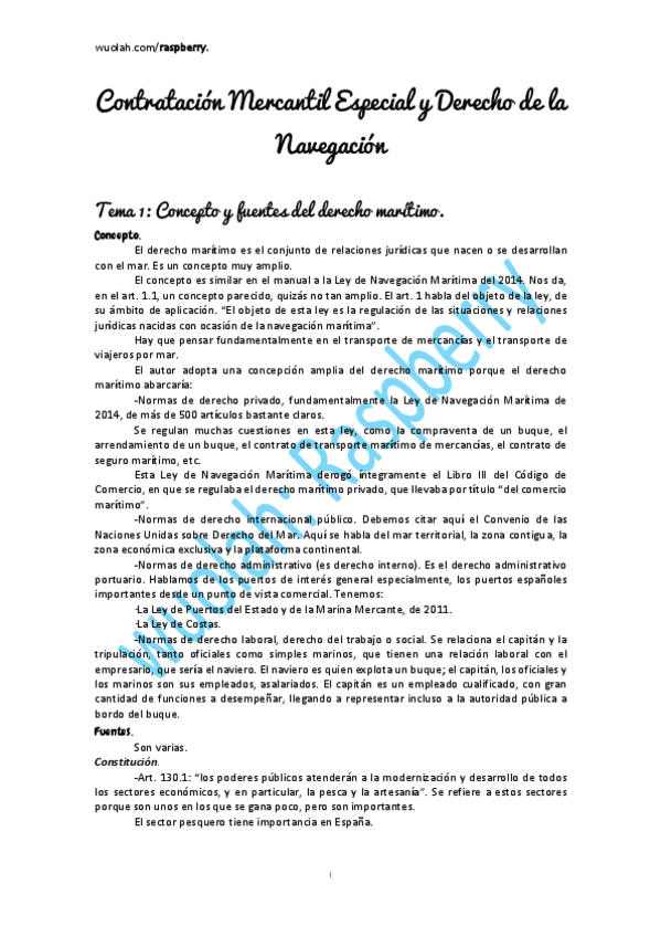 Miniatura del documento Navegacion-corregido.pdf