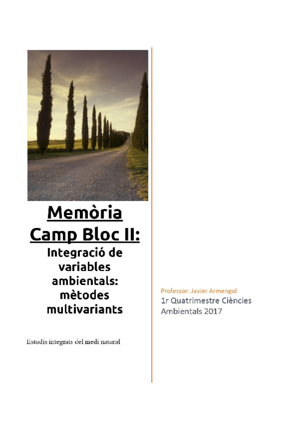 Miniatura del documento Memoria-Armengol.pdf