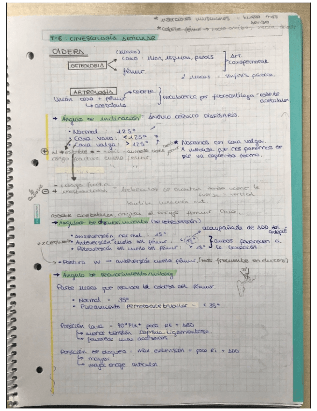 Miniatura del documento Cadera-.pdf