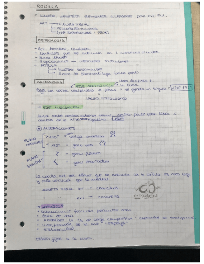 Miniatura del documento Rodilla.pdf