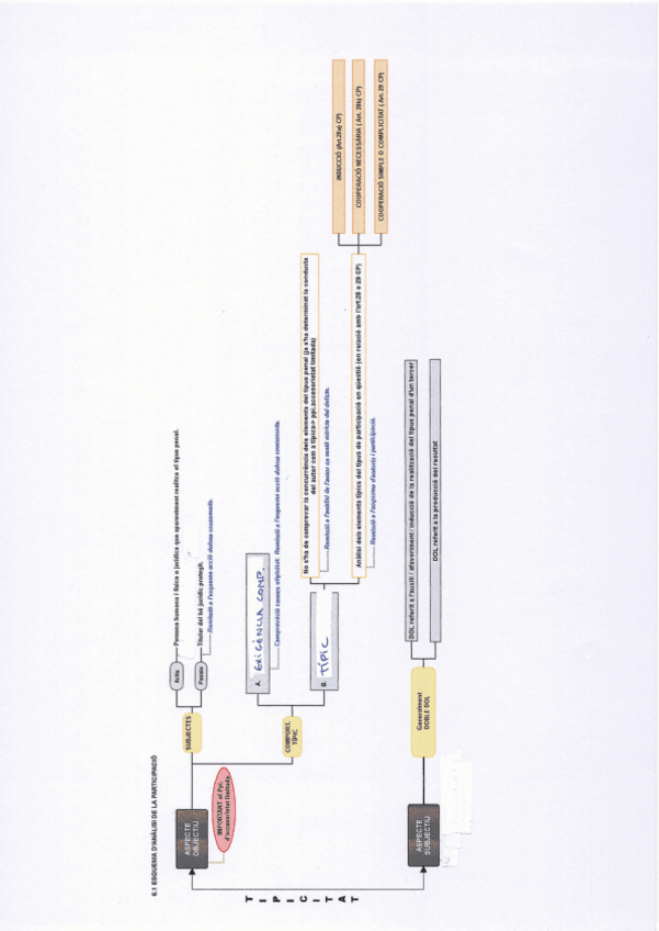 Miniatura del documento participacion.pdf