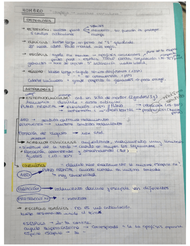 Miniatura del documento Hombro.pdf