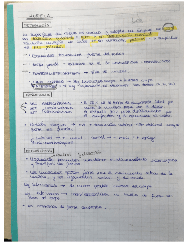 Miniatura del documento Muneca-y-mano.pdf
