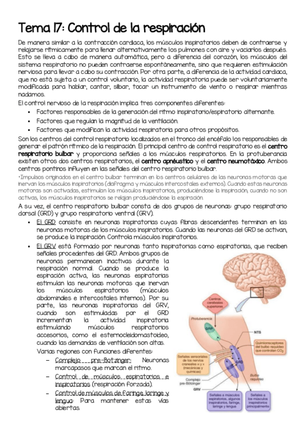 Miniatura del documento T17-Control-de-la-respiracion.pdf