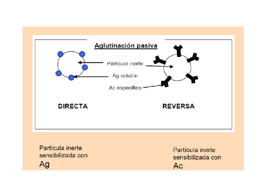 Miniatura del documento Aglutinacion-Indirecta-o-Pasiva-Directa-o-Inversa.pdf