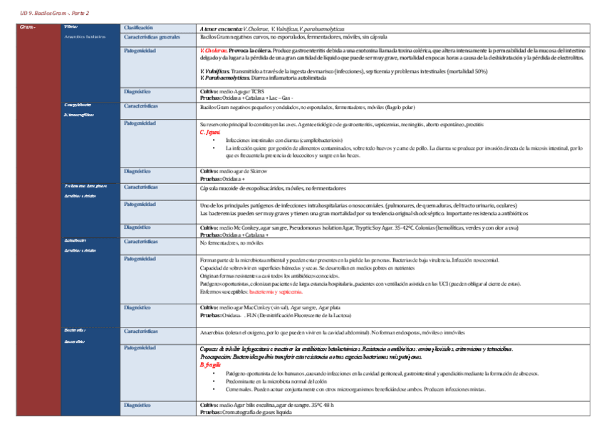 Miniatura del documento UD-9.pdf