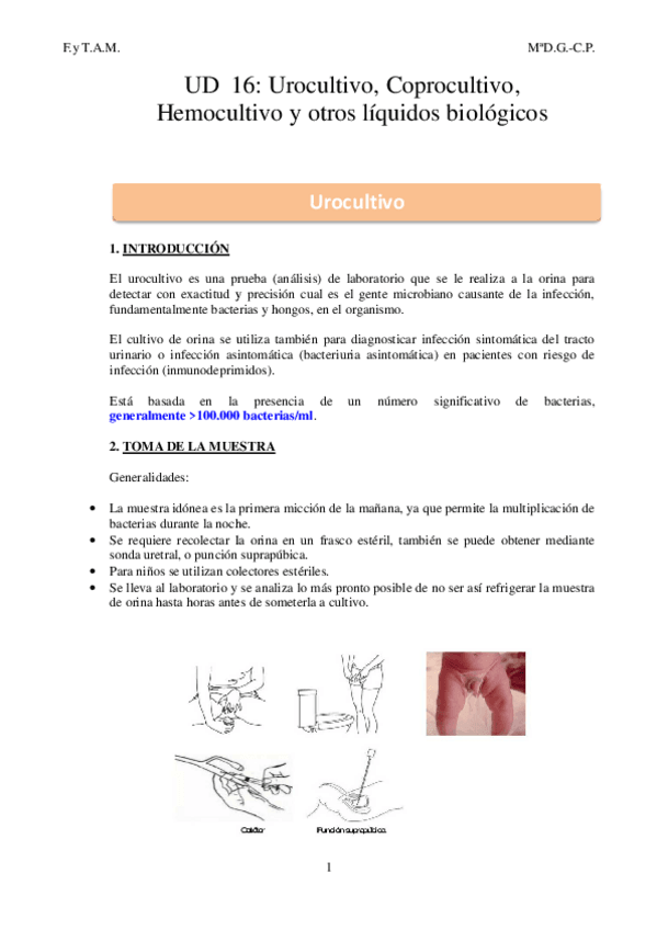 Miniatura del documento UD-16-Urocultivo-coprocultivo-hemocultivo-y-otros-liquidos-biologicos.pdf