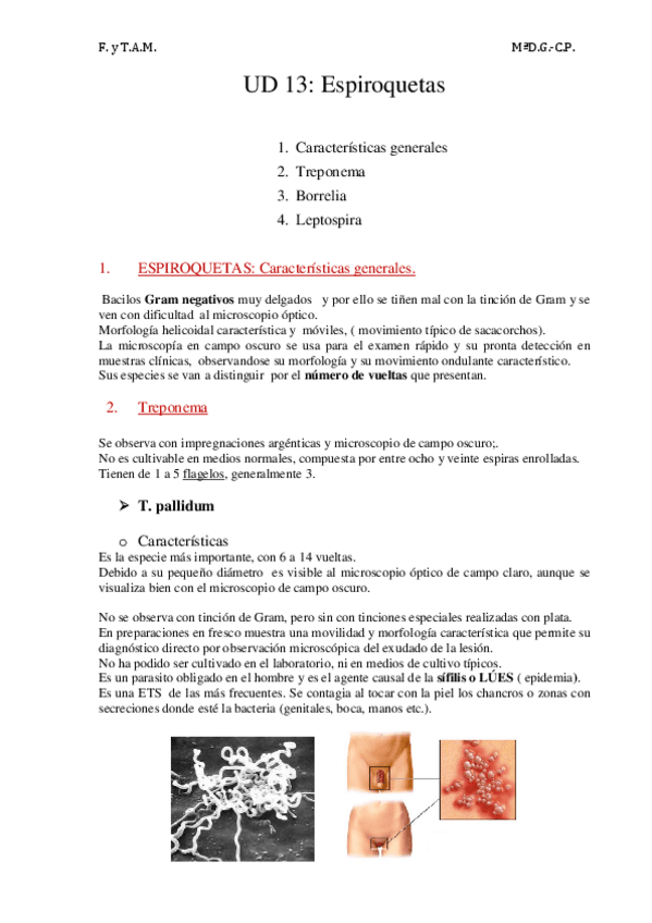 Miniatura del documento UD-13-SPIROQUETAS.pdf