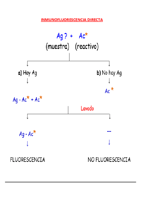 Miniatura del documento Inmunofluorescencia-Directa-e-Indirecta.pdf