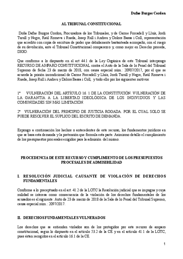 Miniatura del documento recurso-de-amparo-.pdf