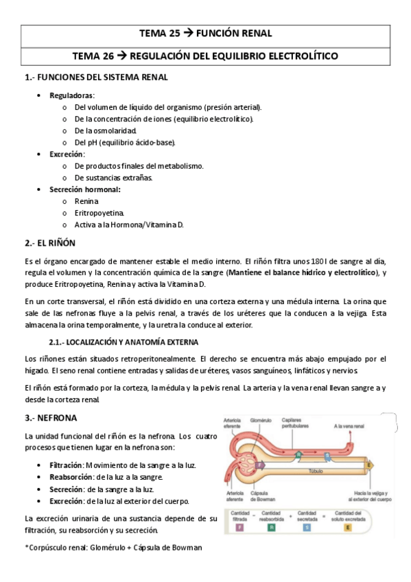 Miniatura del documento TEMA-25-26-funcion-renal.pdf