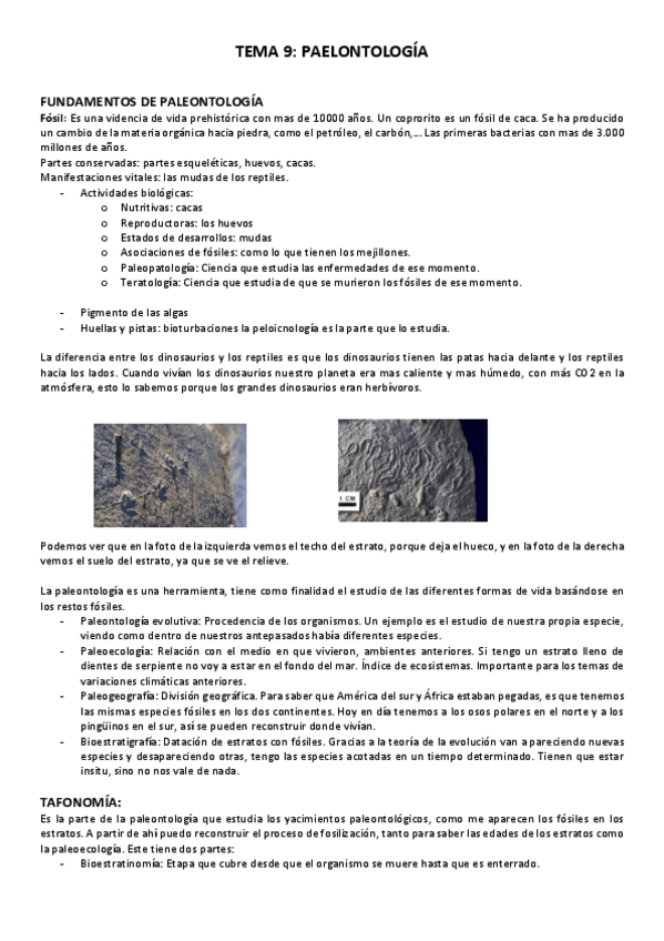 Miniatura del documento TEMA-9.pdf