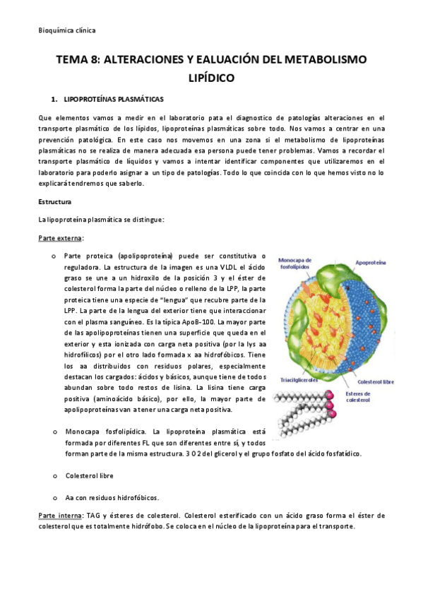 Miniatura del documento TEMA-8.pdf