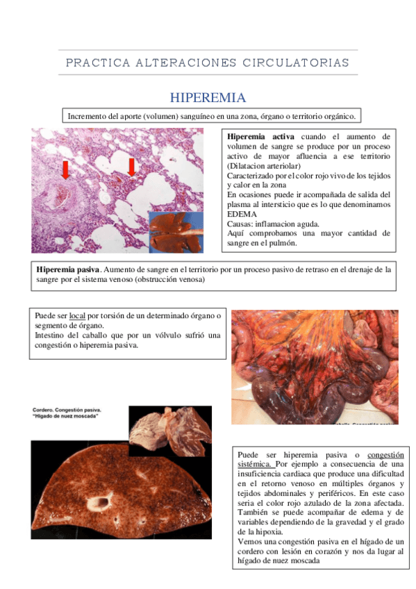 Miniatura del documento Practica-alteraciones-circulatorias.pdf