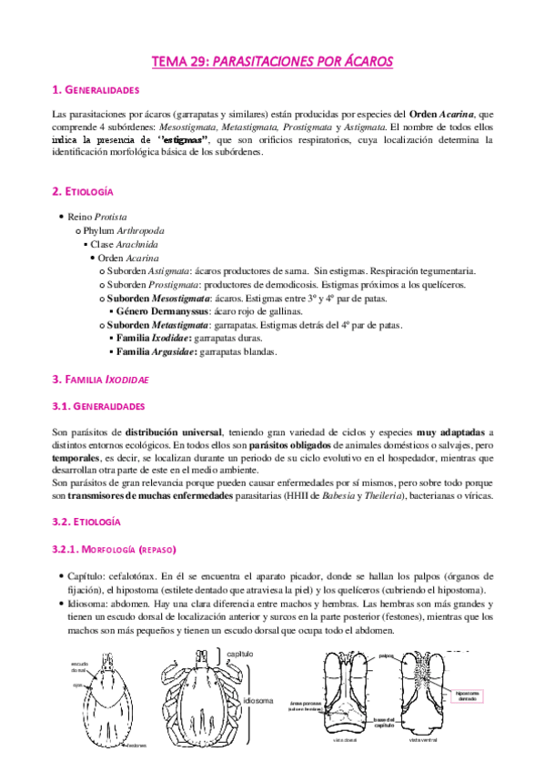 Miniatura del documento Tema-29-Acaros.pdf