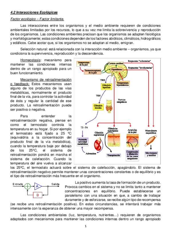 Miniatura del documento BLOQUE-TEMATIO-IV.pdf