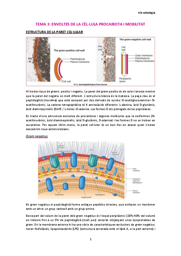 Miniatura del documento TEMA-3.pdf